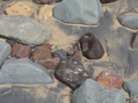 Anglesea