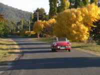 Wandiligong, Vic
